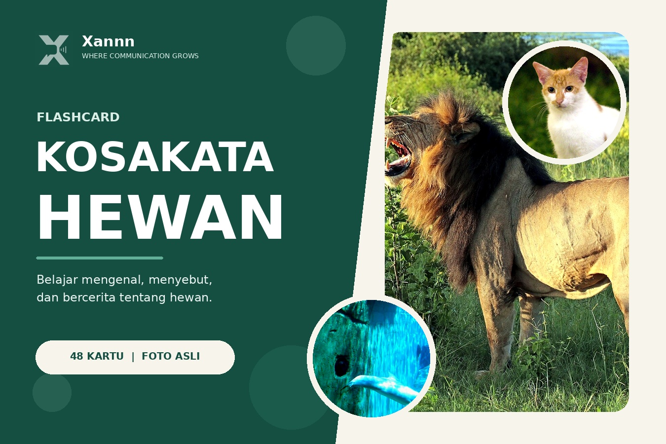 Cover flashcard hewan Xannn